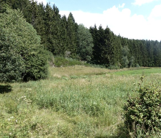 Sentier de randonnée près du moulin de Lützkämper Mühle