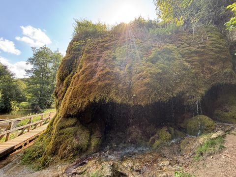 Een met mos begroeide rotsformatie met zacht stromend water. Op de achtergrond zijn bomen en een blauwe lucht te zien.