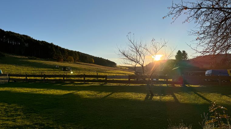 Der Garten