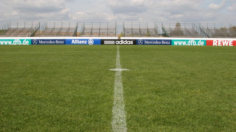 A soccer field with fresh, green grass and clear lines. In the background, the stands and advertising banners are visible.
