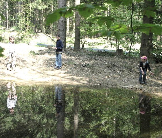 Kinderen in het bos, © TI Vulkanregion Laacher See