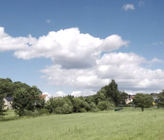 Panoramisch uitzicht over een groene weide met bomen, een dorp en een kerktoren op de achtergrond onder een blauwe lucht met wolken., © Doris Pauels