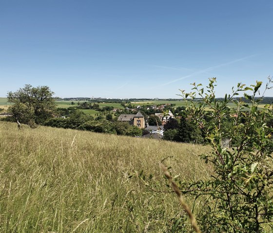 Prairie verte avec vue sur Dudeldorf et le château en arrière-plan sous un ciel bleu et clair., © Tourist-Information Bitburger LandGang _ S. Wagner