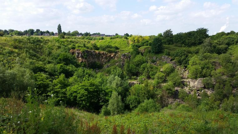 Un paysage verdoyant avec une forêt dense et des buissons. À l'arrière-plan, on voit des collines douces et un ciel lumineux.