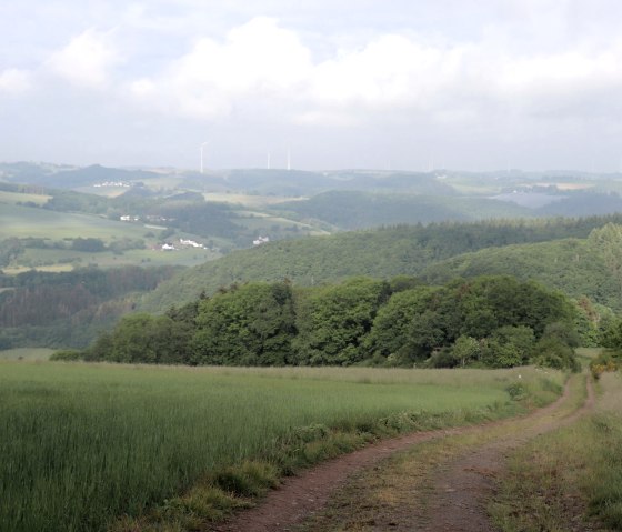 Ver uitzicht richting Mauel, © Tourist-Information Islek