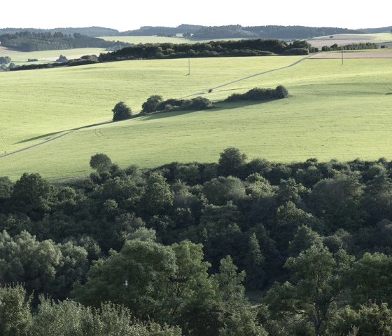 Landschaft_3, © Nordeifel Tourismus GmbH & Zum Goldenen Schaf 3