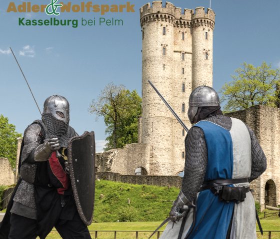 Ritterspiele Kasselburg, © Eifel Tourismus GmbH, Dominik Ketz