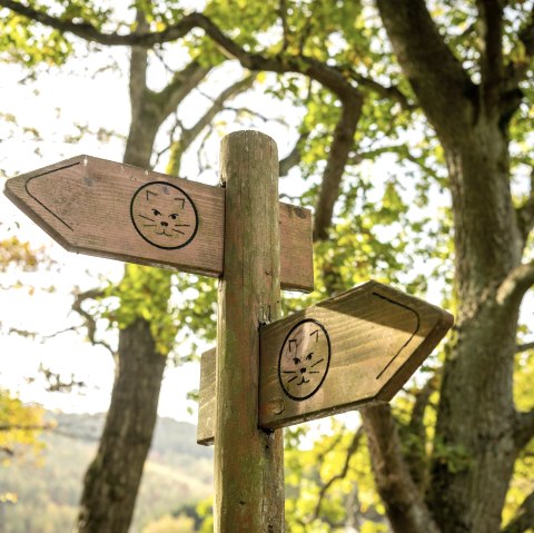 Signpost