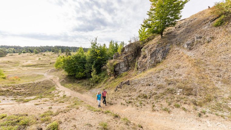 Zwei Wanderer gehen einen Pfad in einer natürlichen Landschaft. Im Hintergrund sind Bäume und sanfte Hügel zu sehen.