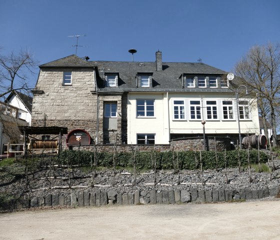Vieux vignoble d'Oberzissen, © Christof Bürger