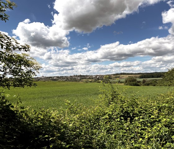 Grüne Felder erstrecken sich unter einem bewölkten Himmel. Im Hintergrund sind Hügel und eine Siedlung zu sehen, umrahmt von Bäumen., © TI Bitburger Land
