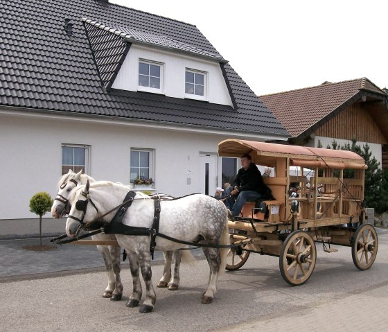 Römischer Reisewagen 100_0487, © Nordeifel Tourismus GmbH & Haus am Hahnenberg