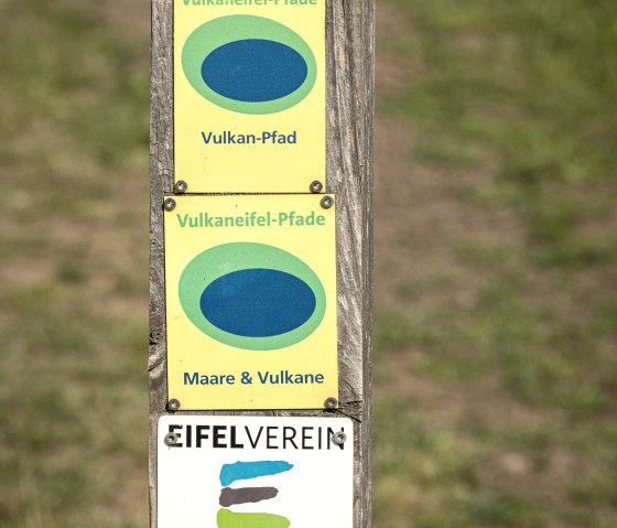 et-2019-316-vulcanpfad-thron-am-steffelnkopf-eifel-tourismus-gmbh-dominik-ketz, © Eifel Tourismus GmbH, Dominik Ketz