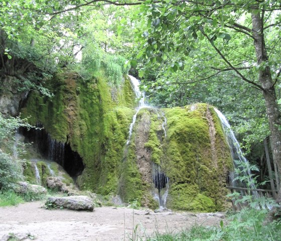 dans les environs, © Gertrud Wieser