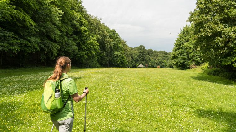 Woman with backpack and hiking poles on the green meadow with trees to the right and left
