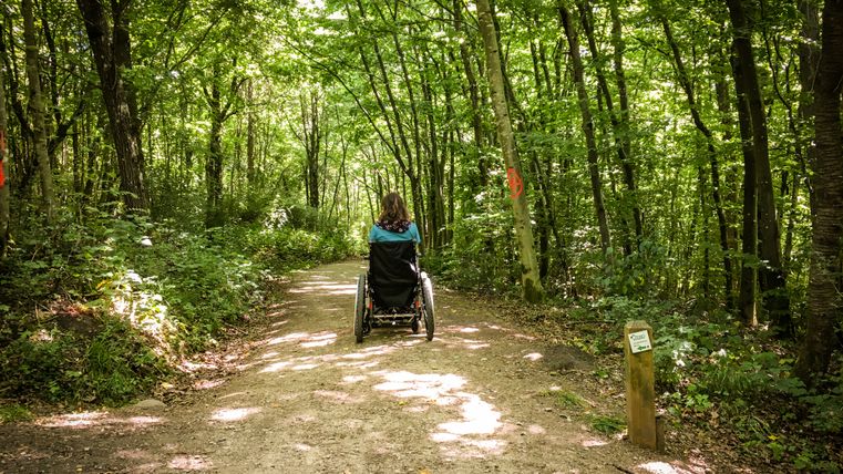 Une femme en chaise roulante sur un chemin forestier et quelques arbres inondés de lumière
