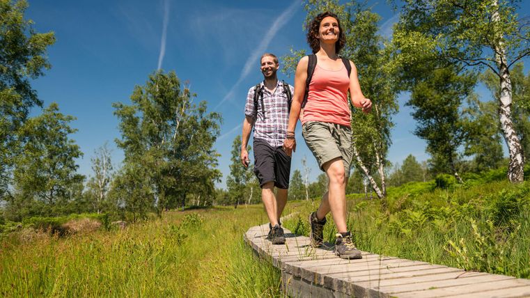 Deux personnes marchent sur un chemin en bois à travers un paysage verdoyant et boisé. Le ciel est bleu et le soleil brille.