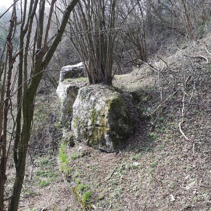 Een rots is omringd door droog loof en bomen. Het landschap lijkt wild en natuurlijk.