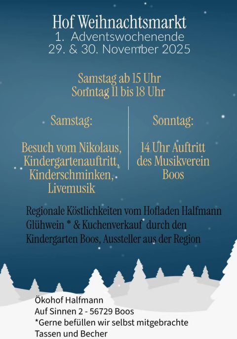 Ein einladender Weihnachtsmarkt in Boos mit festlicher Dekoration und einem schönen Hoff. Es werden regionale Köstlichkeiten und musikalische Unterhaltung angeboten.