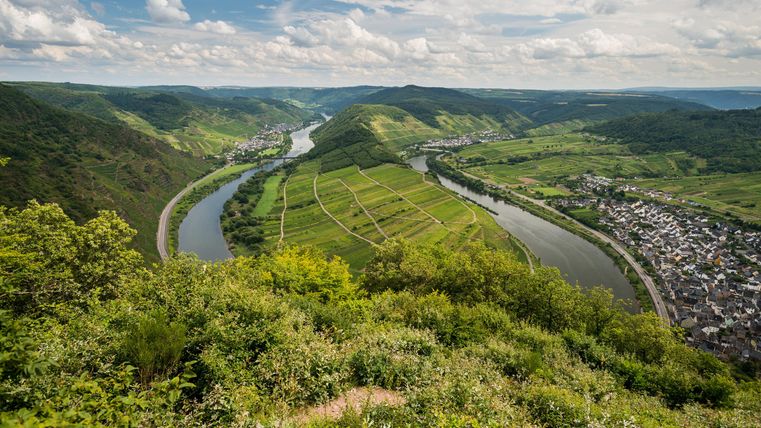 Eine malerische Flusslandschaft mit sanften Hügeln und Weinbergen. Der Himmel ist blau mit einigen Wolken.