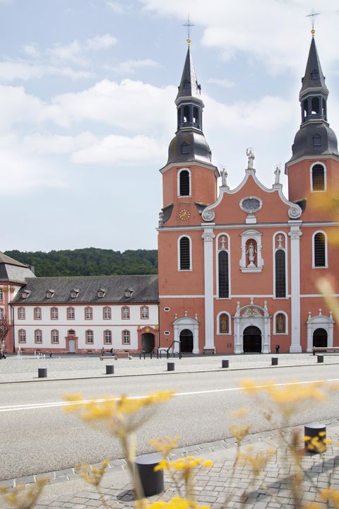 Eine beeindruckende Kirche mit zwei hohen Türmen und einer detailreichen Fassade. Im Vordergrund blühen gelbe Blumen und der Himmel ist klar.