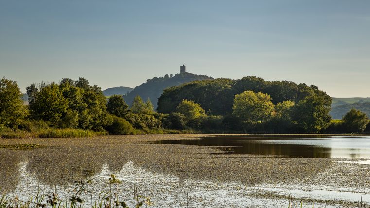 Rodder Maar with green surroundings and a castle on a hill in the background.