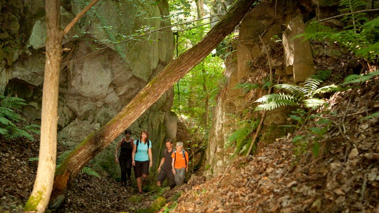 Group of hikers in a wooded, rocky area.