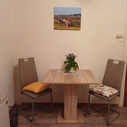 In unserem Doppelzimmer befindet sich ein Tisch mit 2 Stühlen.