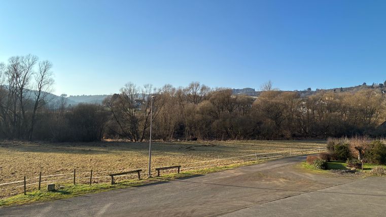 Een rustige landschap met een schaduw van bomen en een heldere blauwe lucht. Op de voorgrond is een verhard pad en een weiland te zien.