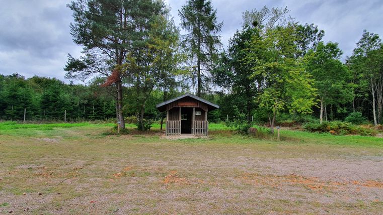 Eine kleine Holzhütte im Wald, umgeben von Bäumen und Grasfläche.