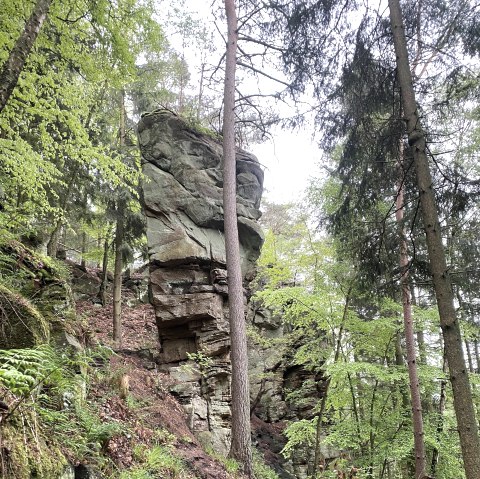 Predigtstuhl, © Felsenland Südeifel Tourismus GmbH, AC Krebs