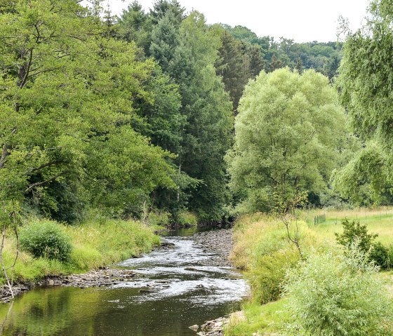 A small river meanders through a green landscape of trees and meadows. The sky is cloudy and the water reflects the surrounding greenery., © TI Bitburger Land