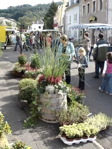 Marché fermier