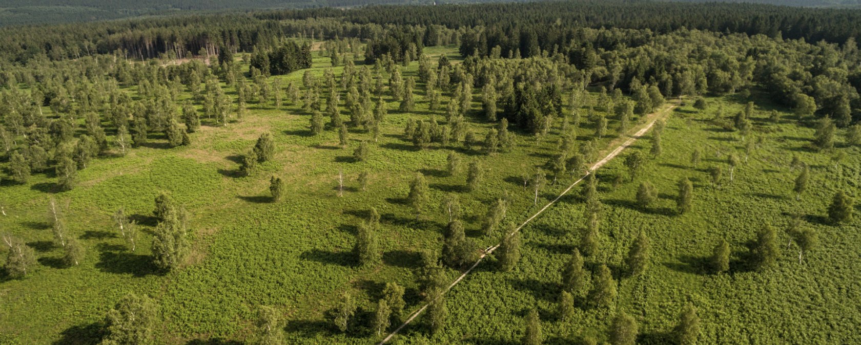 Randonnée Struffeltroute vue du ciel, © Eifel Tourismus GmbH/D. Ketz