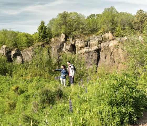 Jardin volcanique de Steffeln sur le sentier volcanique, © Eifel Tourismus GmbH, Dominik Ketz