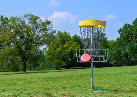Un panier de disc golf se trouve au milieu d'une prairie verdoyante. À l'arrière-plan, on aperçoit des arbres et un ciel dégagé.