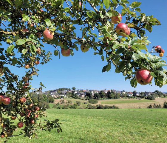 Blick auf Wershofen, © Schmidt FeWo Eifelnest Wershofen