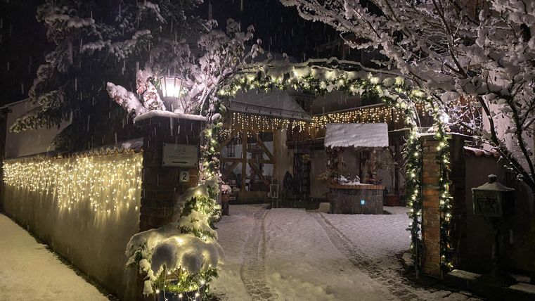 Een mooie ingang, feestelijk versierd met lichten, in een besneeuwde nacht. De sneeuw bedekt de grond en de bomen geven de scène een winterse uitstraling.