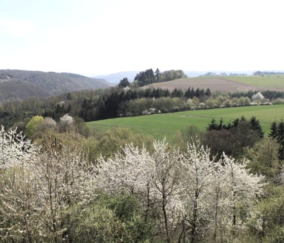 Landschaft im Frühling