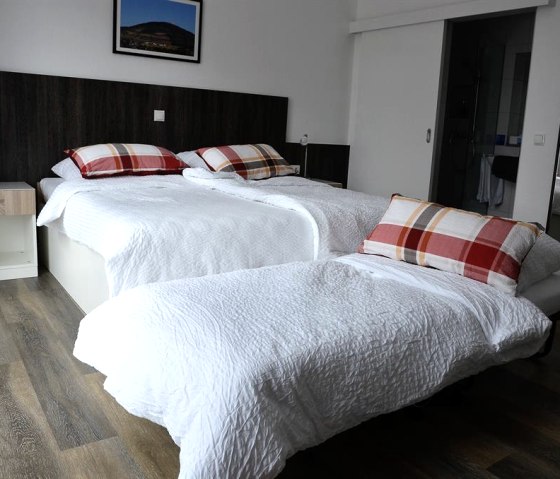 Tweepersoonskamer + extra bed