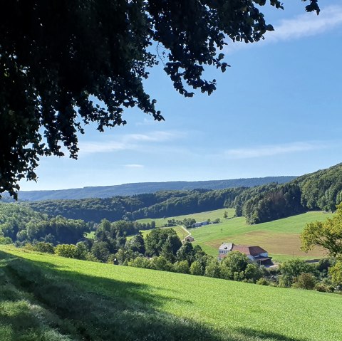 Panoramisch uitzicht over de Enz vallei met groene weiden, bossen en een boerderij onder een blauwe lucht. Schaduw van bomen op de voorgrond., © TI BItburger Land - Steffi Wagner
