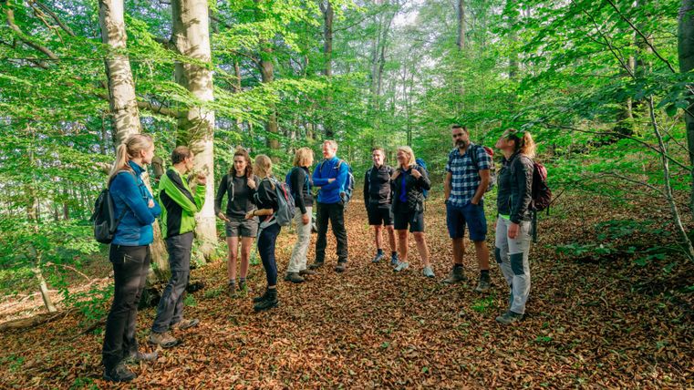 Eine Gruppe von Menschen steht im Wald und unterhält sich. Die Umgebung ist grün und voller Bäume, mit einem bunten Laubteppich am Boden.