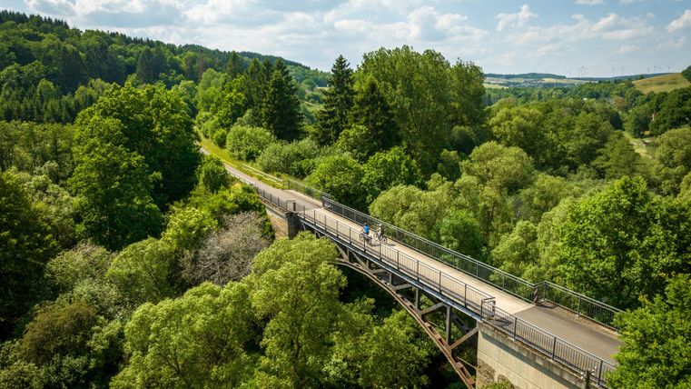 Waldlandschap met een fietspad erin, dat over een brug boven de bomen leidt.