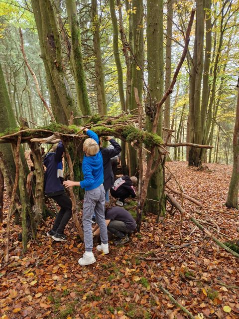 A group of children is building a structure from branches and twigs in the forest. The surroundings are autumnal with colorful leaves on the ground.