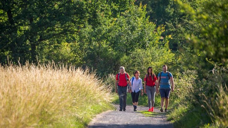 Een groep van vier wandelaars loopt over een smal pad door de natuur. Het pad is omgeven door hoog gras en bomen.
