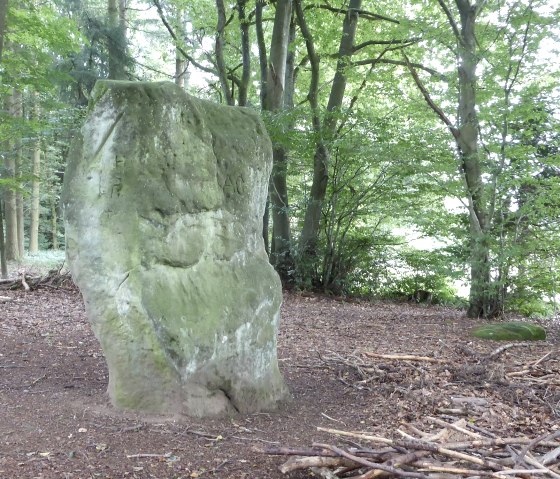 De druïdensteen bij Bollendorf, © Elke Wagner