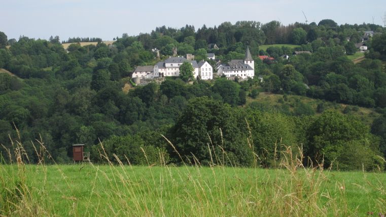 View of Kronenburg with green landscape and historic buildings.