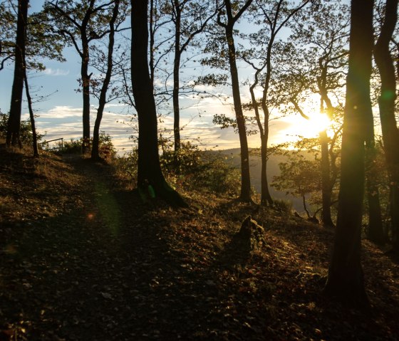 Towards the sunset on the panoramic hiking trail, © Laura Rinneburger