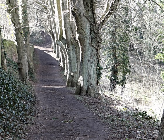 Voorbij kasteel Nideggen, © Karl-Heinz Rosenzweig, Der-eifelyeti.de, © Der-eifelyeti.de