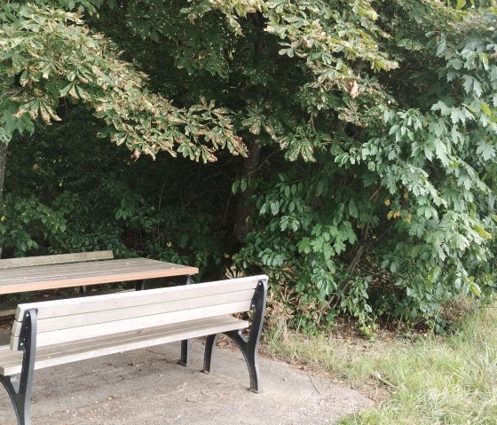 Ein Rastplatz mit Holztisch und Bänken unter schattigen Bäumen, umgeben von dichtem Grün. Ideal für eine Pause in der Natur., © TI Bitburger Land